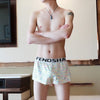 Men's Breathable Panties Internal Built-in Bag Cotton Lining Arrow Shorts Home Wear Casual Shorts